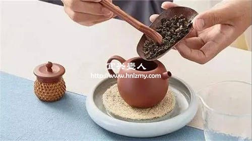 紫砂壺泡哪種白茶比較好