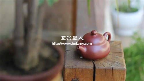 500元可以買到真正的紫砂壺
