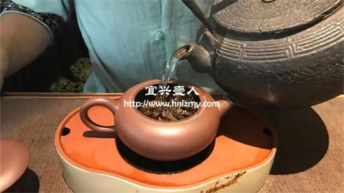 450cc紫砂壺什么茶更合適