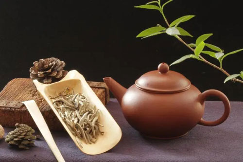 紫砂壺可以沖泡白茶嗎2