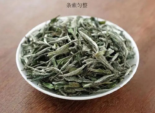 白牡丹用紫砂壺泡好嗎